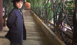 麻豆骗,网络诈骗新手段